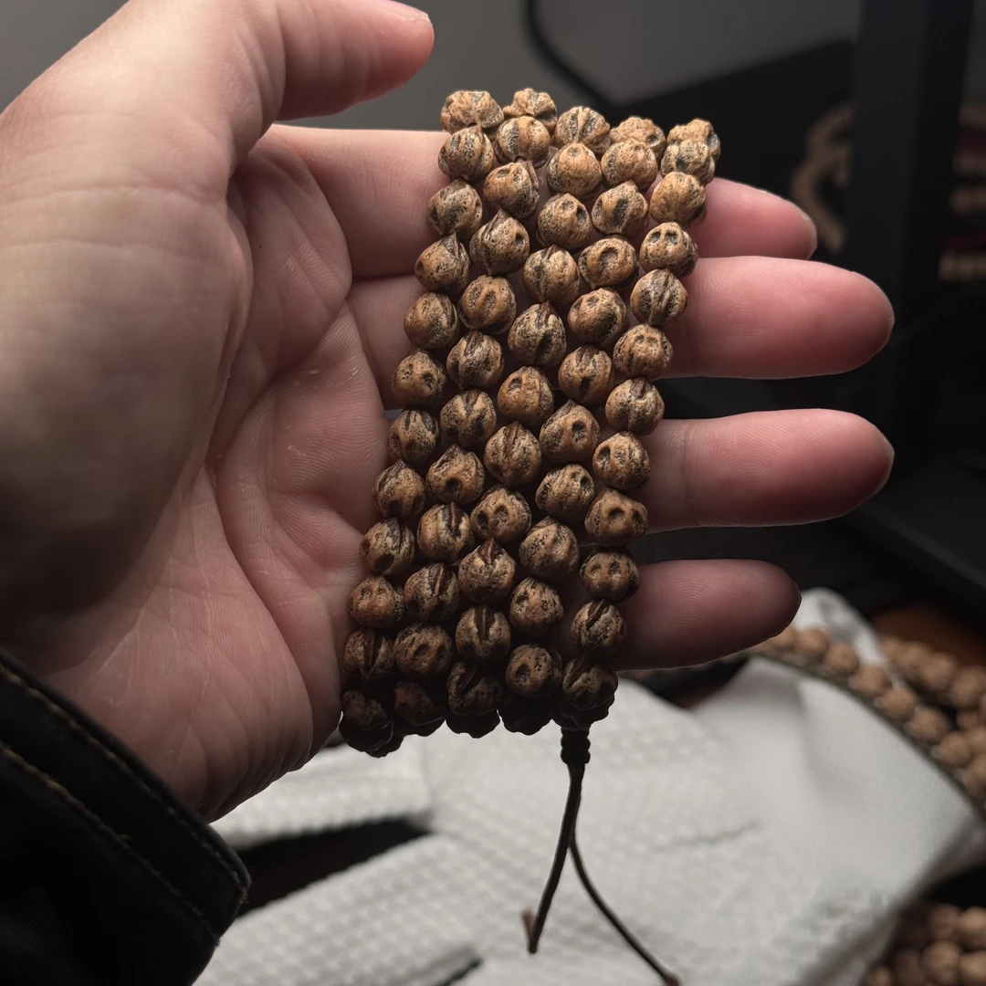 热振柏香籽原桩尸陀林尺寸8左右