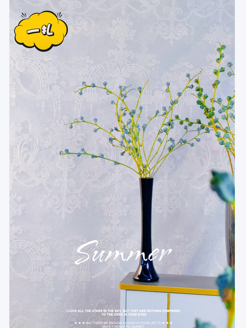 （4A级）尤加利叶果 好看耐养清香 可干养可水养室内卧室阳台客厅