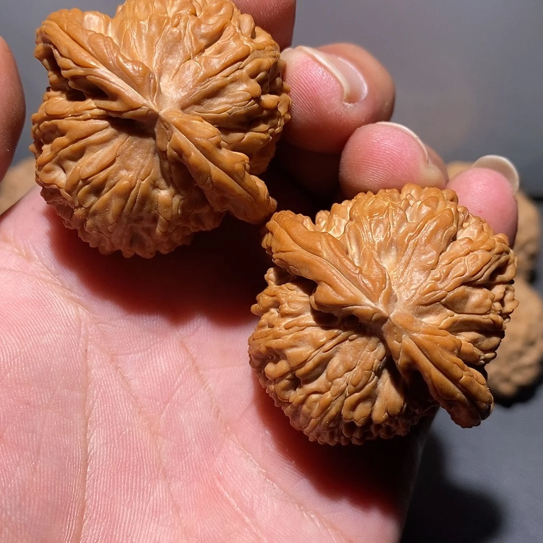 把件文玩核桃橦*6白狮子