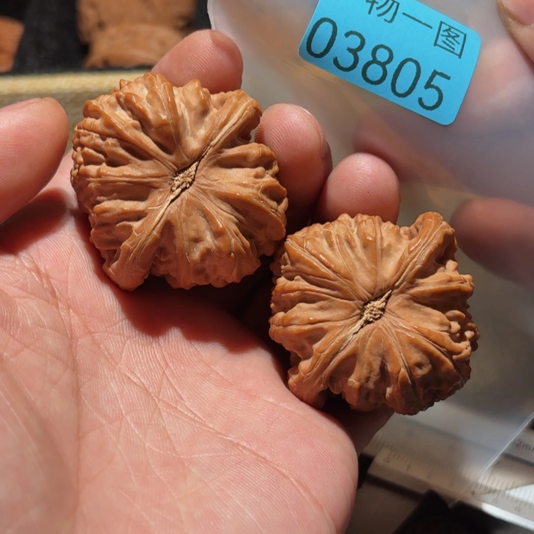 把件文玩核桃白狮子
