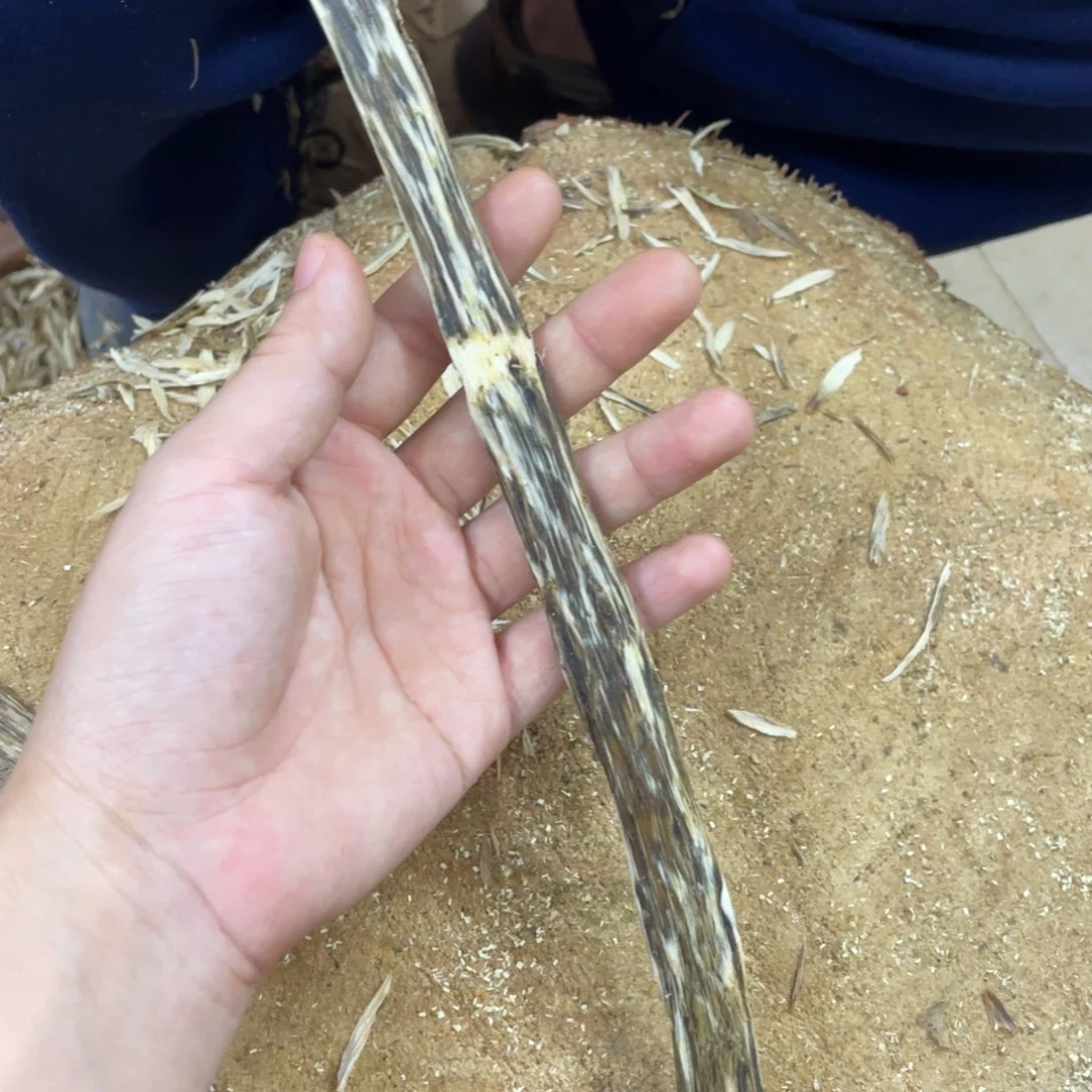 沉香沉香碎屑奇楠沉香文创1