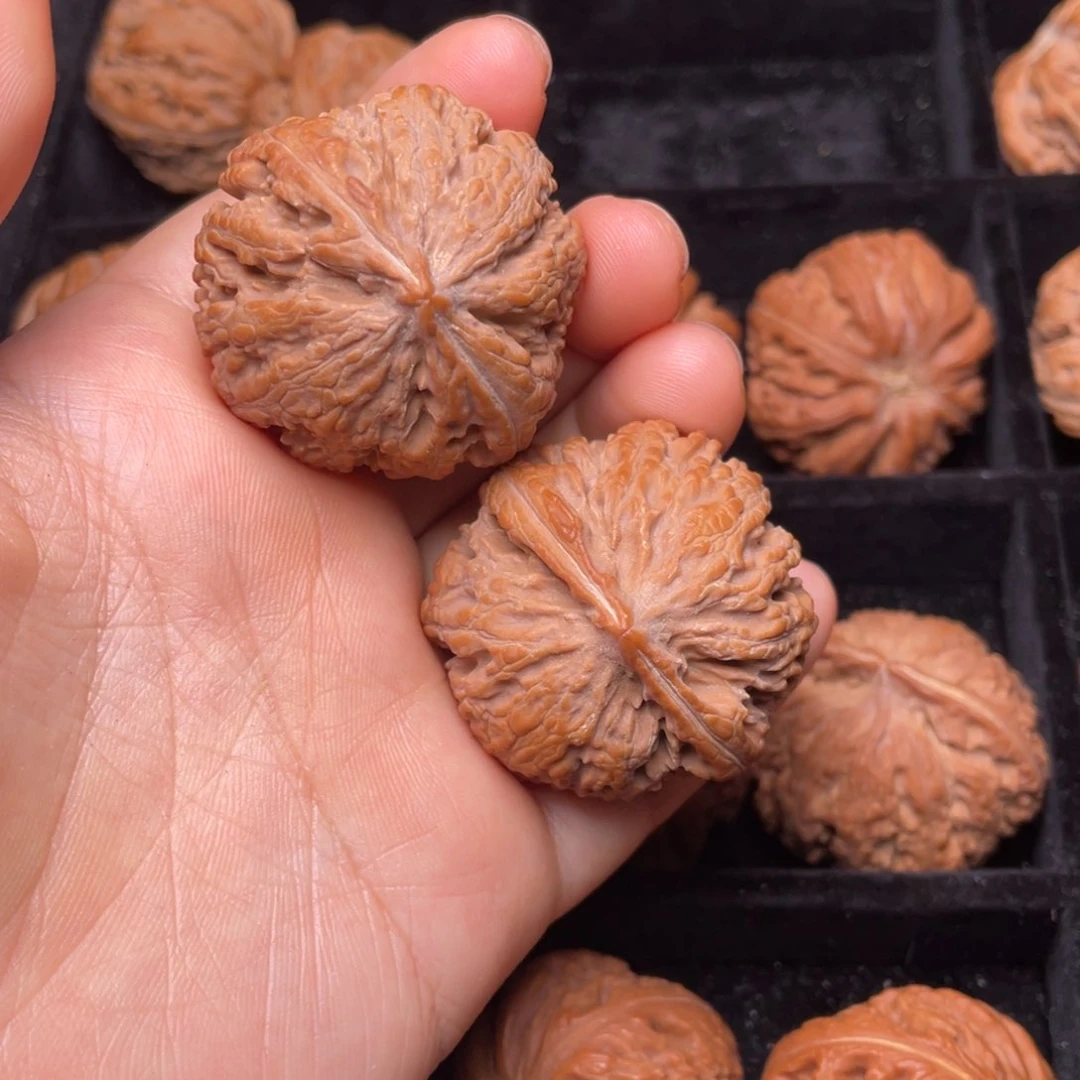 秦岭野生文玩核桃