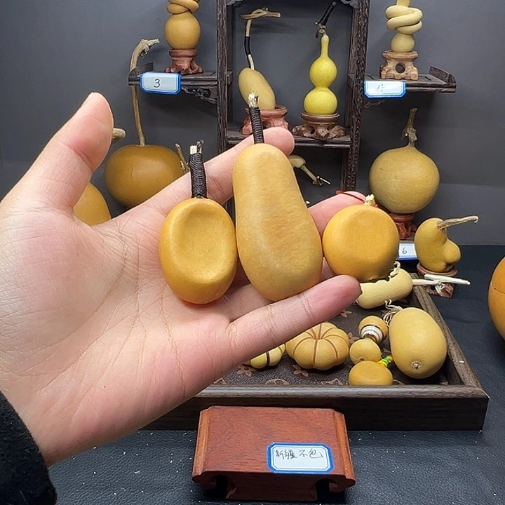 二***虎木葫芦葫芦葫芦葫芦