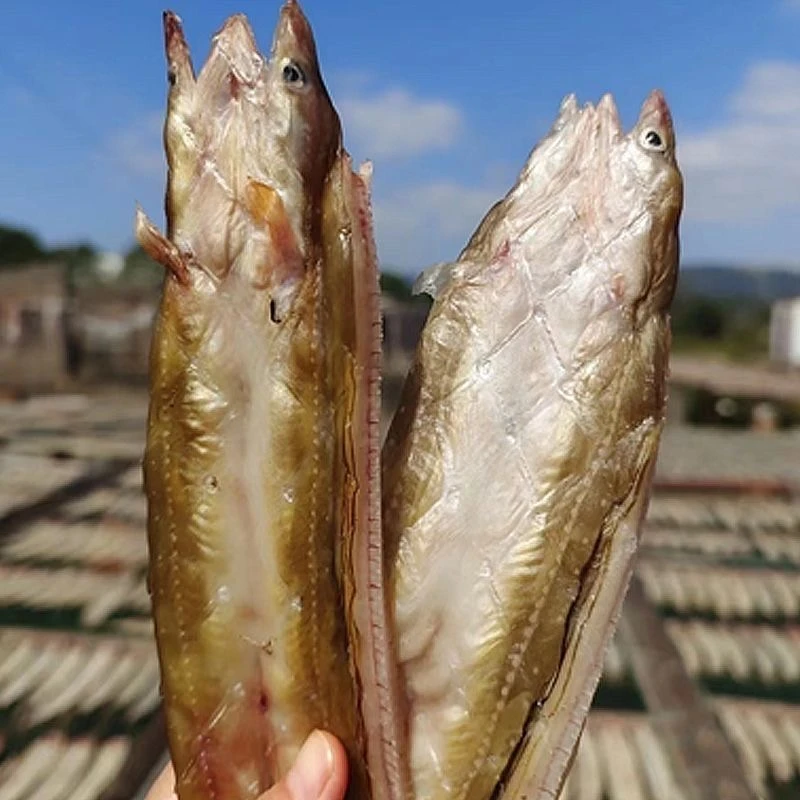 海未叶子 舟山淡沙鳗鲞沙鳗干无刺鳗鱼干整条油鳗七星鳗鱼海鲜干