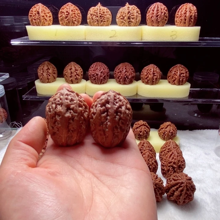 文玩核桃把件蚂蚁蛋