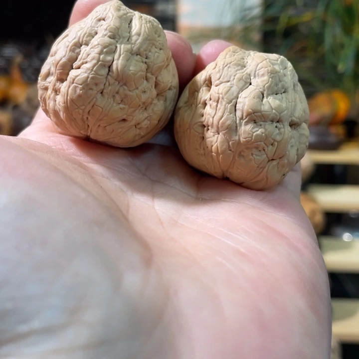 把件文玩核桃编号85