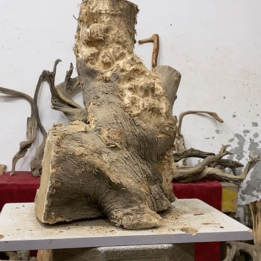 【闪购商品】柏木展****）我们都是好孩子