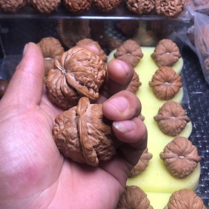 o***z大叶紫檀（黑酸枝木类）