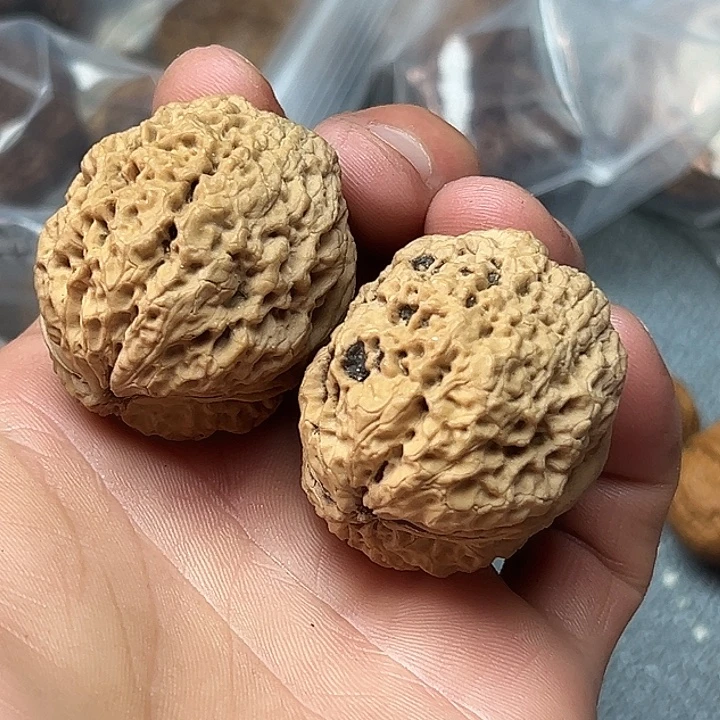 核桃2号花中花39尺