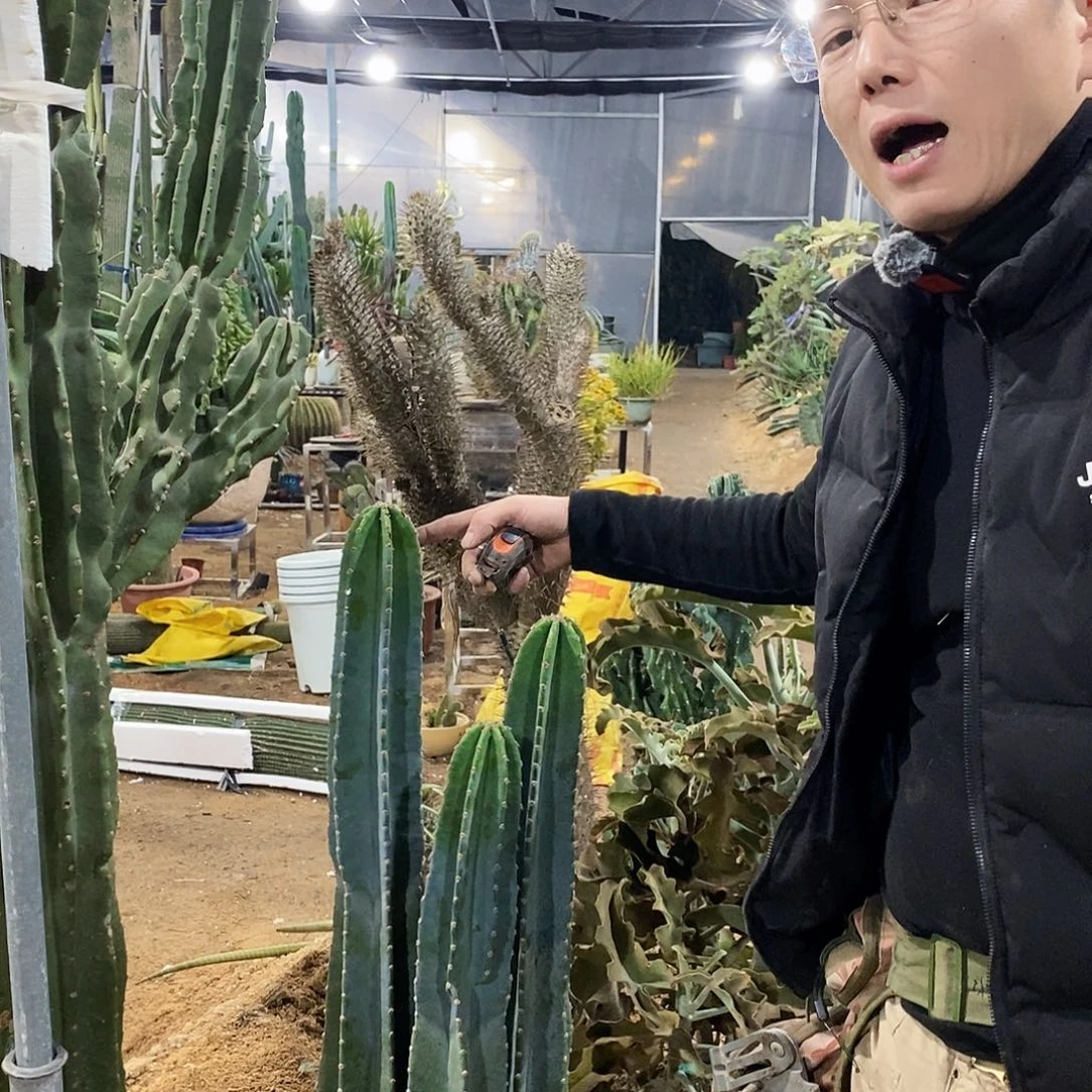 量天尺高50/60/80公分（共3颗）