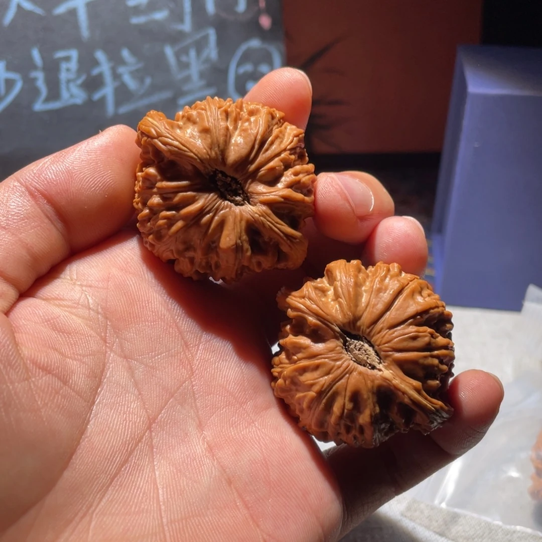 文玩核桃吊坠48卡姿兰白狮子