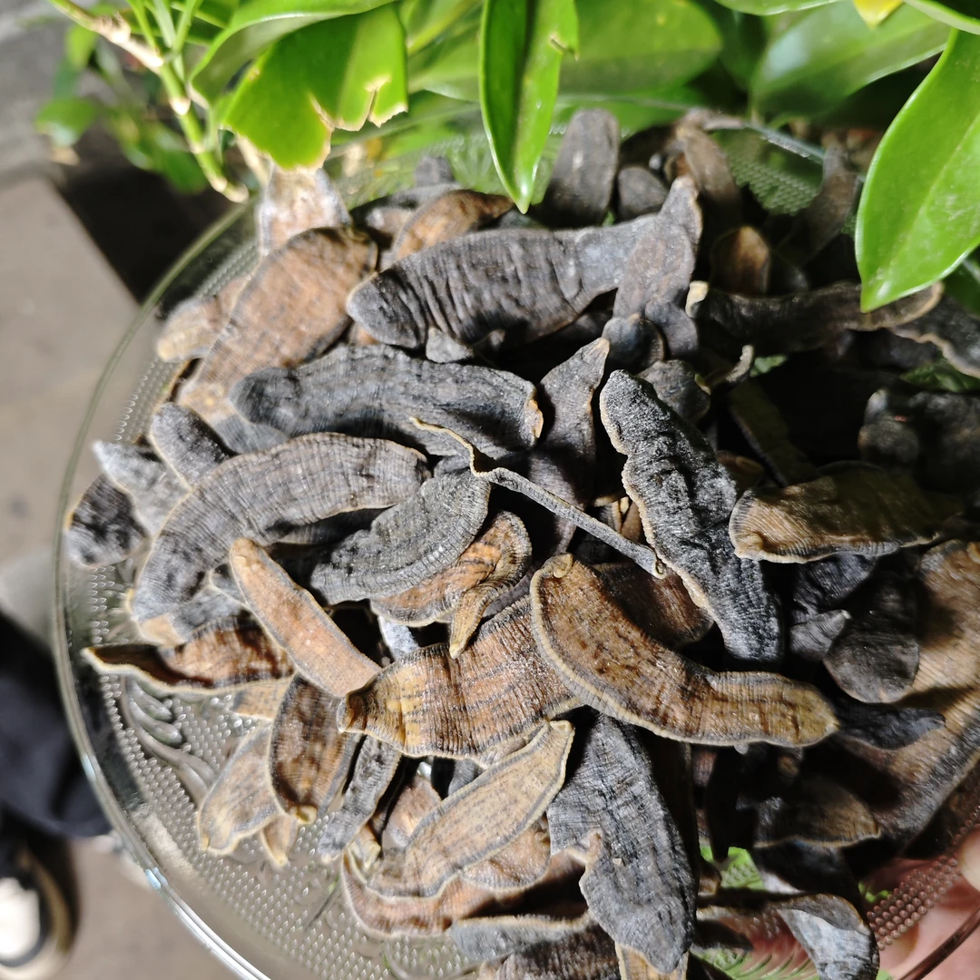1【十-年-金-边-水-蛭】净含量50g-500g【阿虎现收】菌