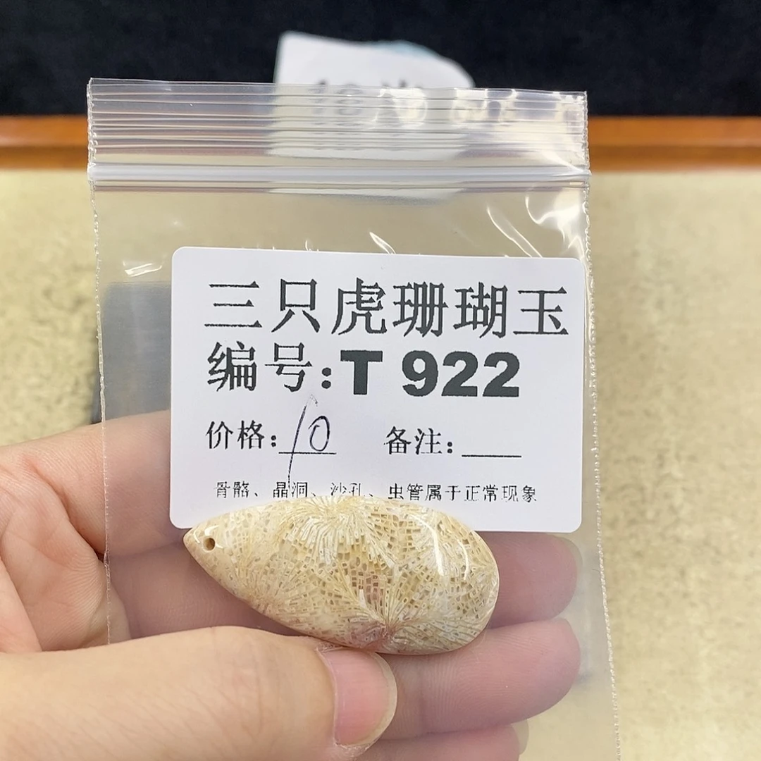 硅化珊瑚（珊瑚玉）1未镶嵌静**开