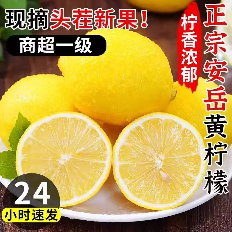 【爆款福利】四川安岳黄柠檬酸爽多汁皮薄榨汁清新香气浓郁老少皆宜