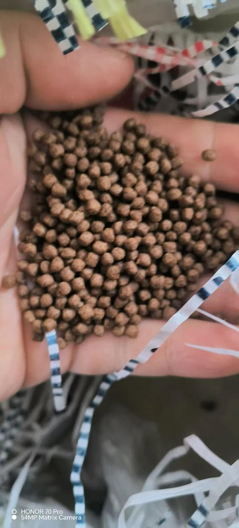 兰寿专用鱼粮一袋