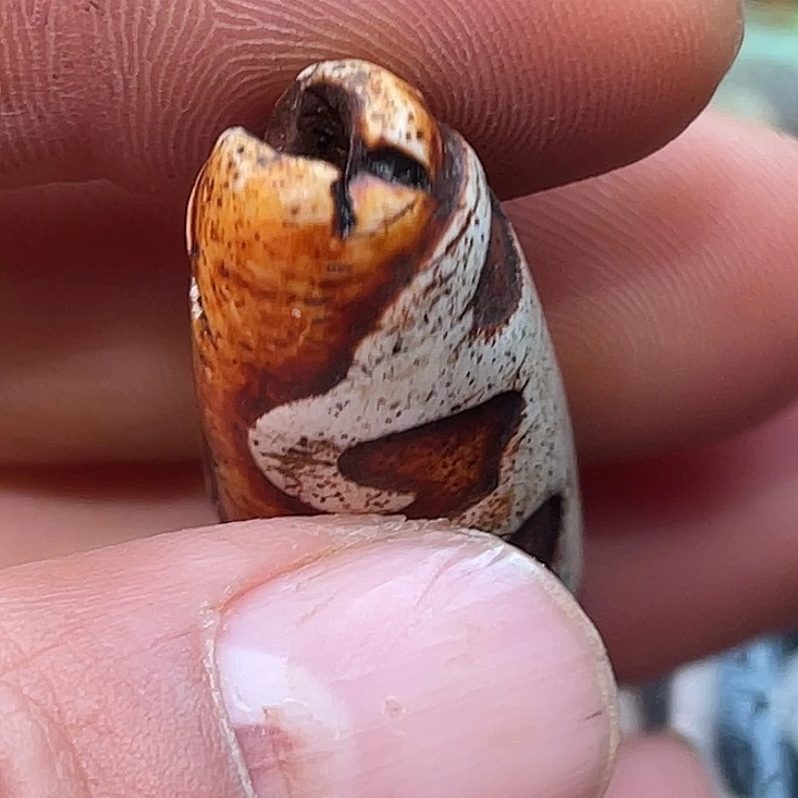 玛瑙/玉髓未镶嵌珠子