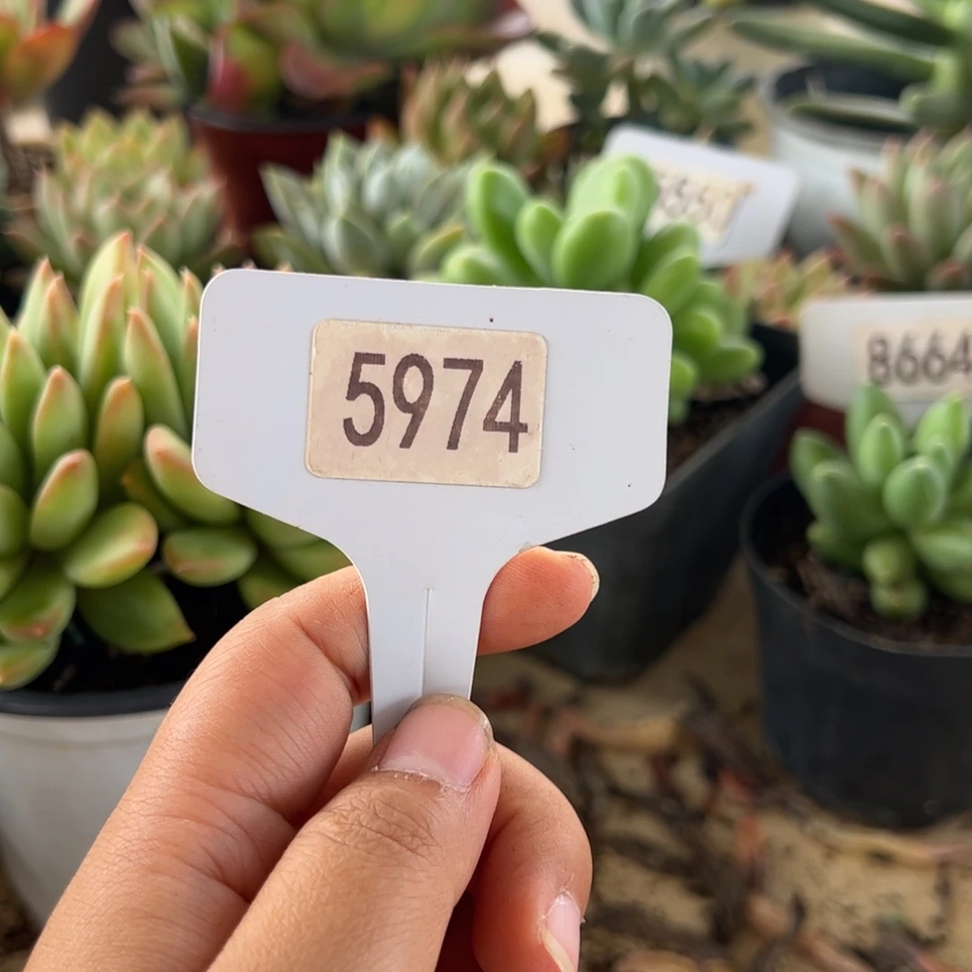 【闪购商品】又****天5974。 1111111