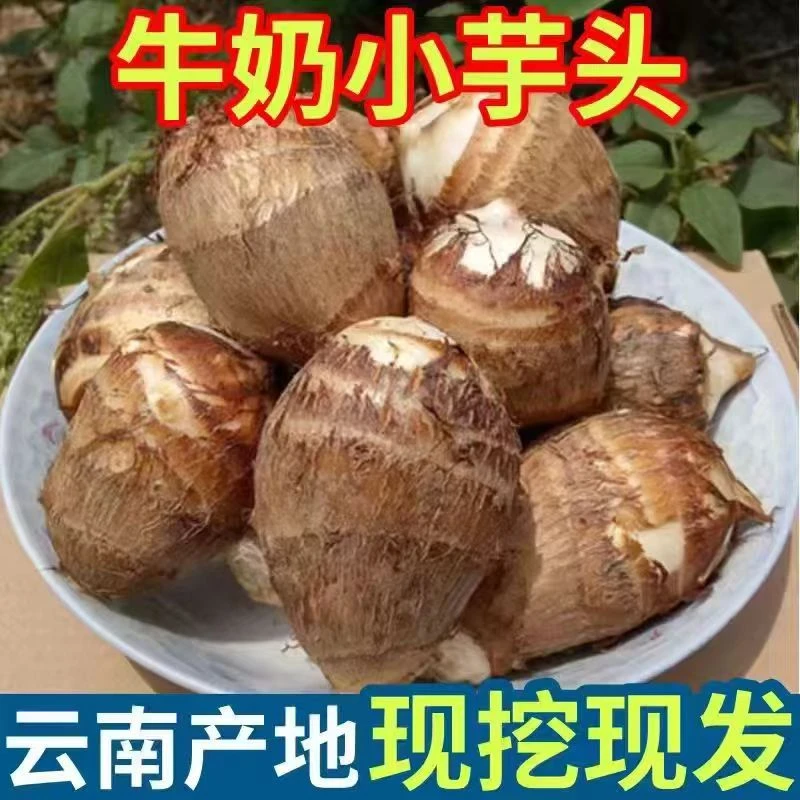 【新鲜应季】新鲜粉糯农家牛奶小芋头香甜软糯产地直发自种包邮