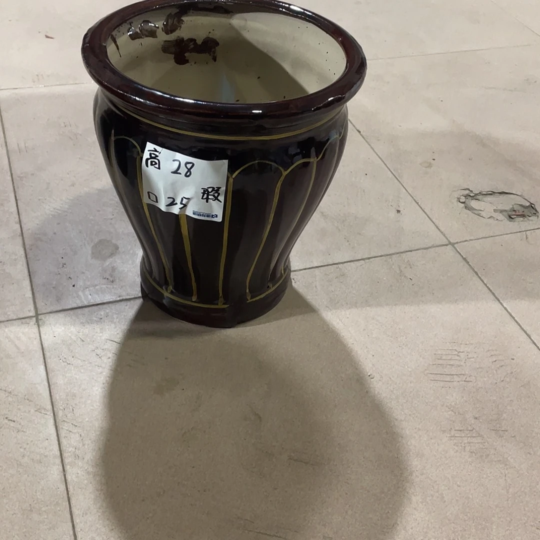 南瓜平口中号搭配托盘微瑕