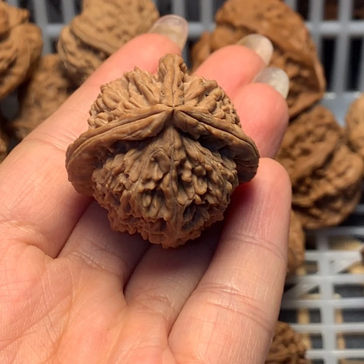 治***馆文玩核桃把件核桃