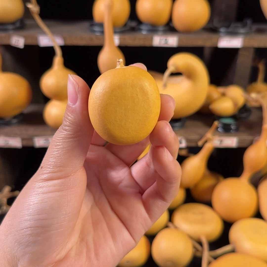 *****葫芦葫芦葫芦葫芦葫芦葫芦