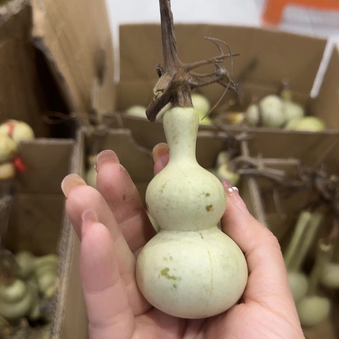 小***帅葫芦刚刚高VHBVV出汗