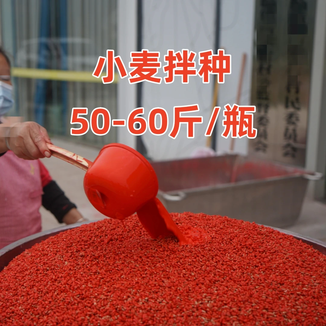 拌得龙小麦拌种生根壮苗红色包衣