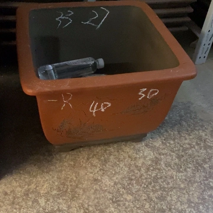 花盆紫砂只顾看手机的日子