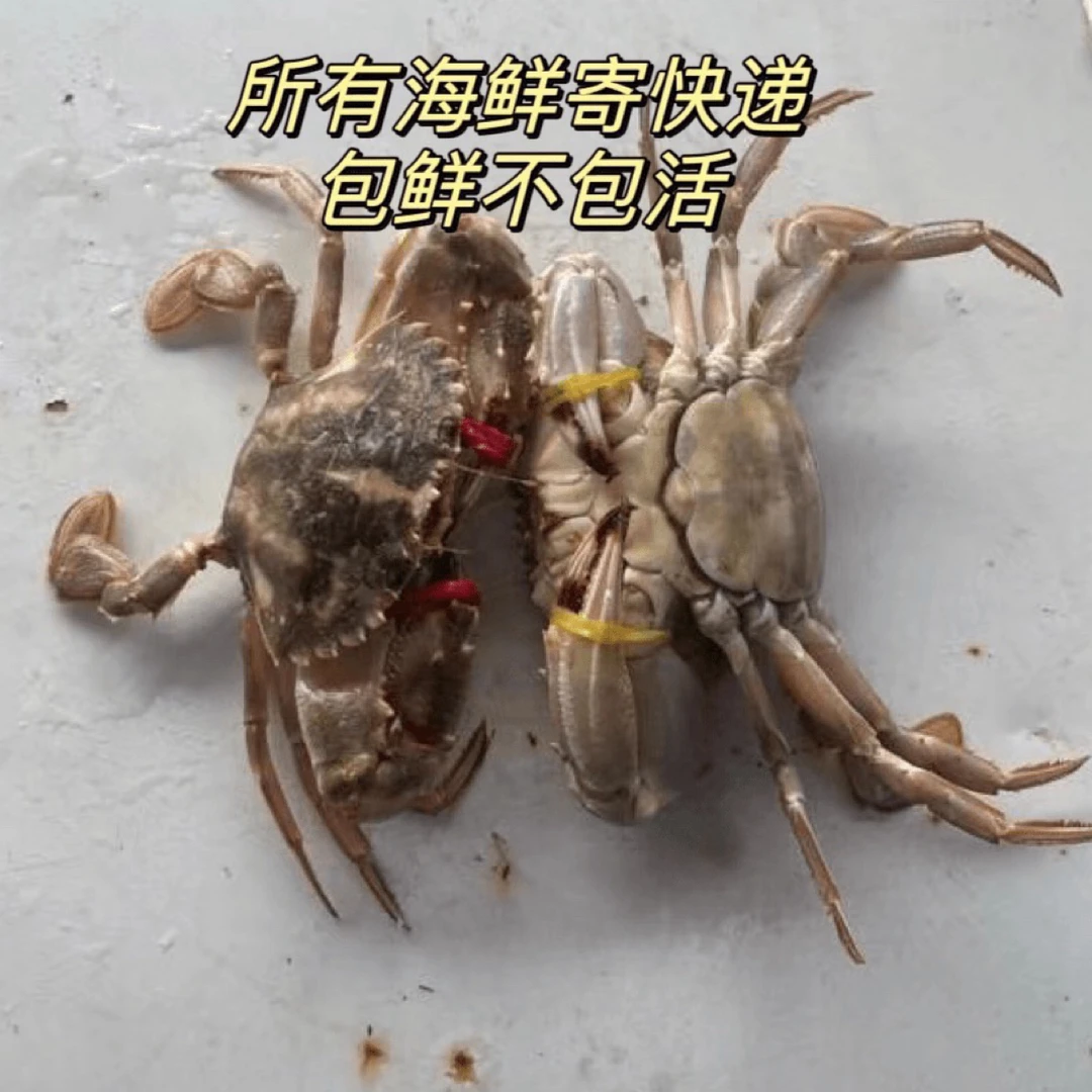 【保鲜不保活】本地花盖蟹4斤 生腌辣炒用 1-3两/只--