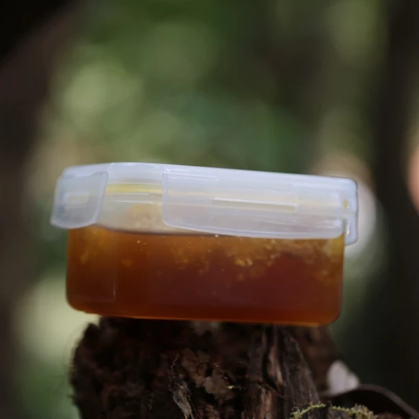 云南纯正野生悬崖蜂岩蜜巢蜜 500 克/盒包邮，春华大爆炸专属