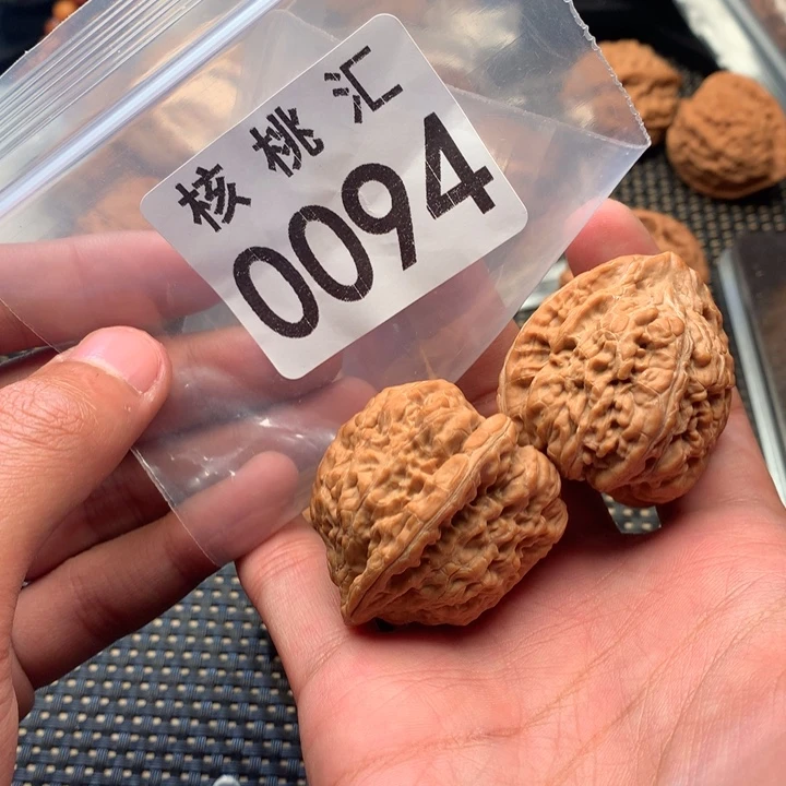 吊坠文玩核桃金蝉子