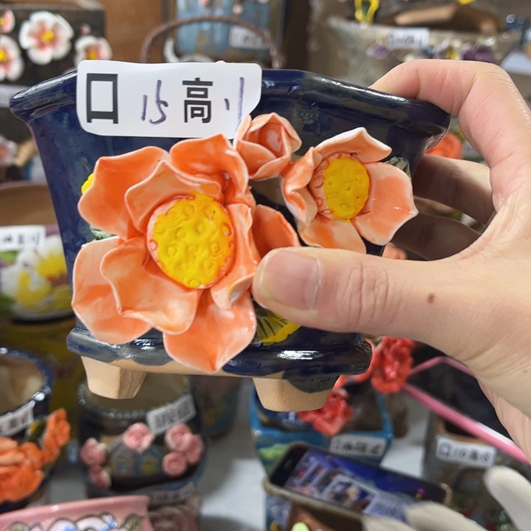 【闪购商品】红陶福利