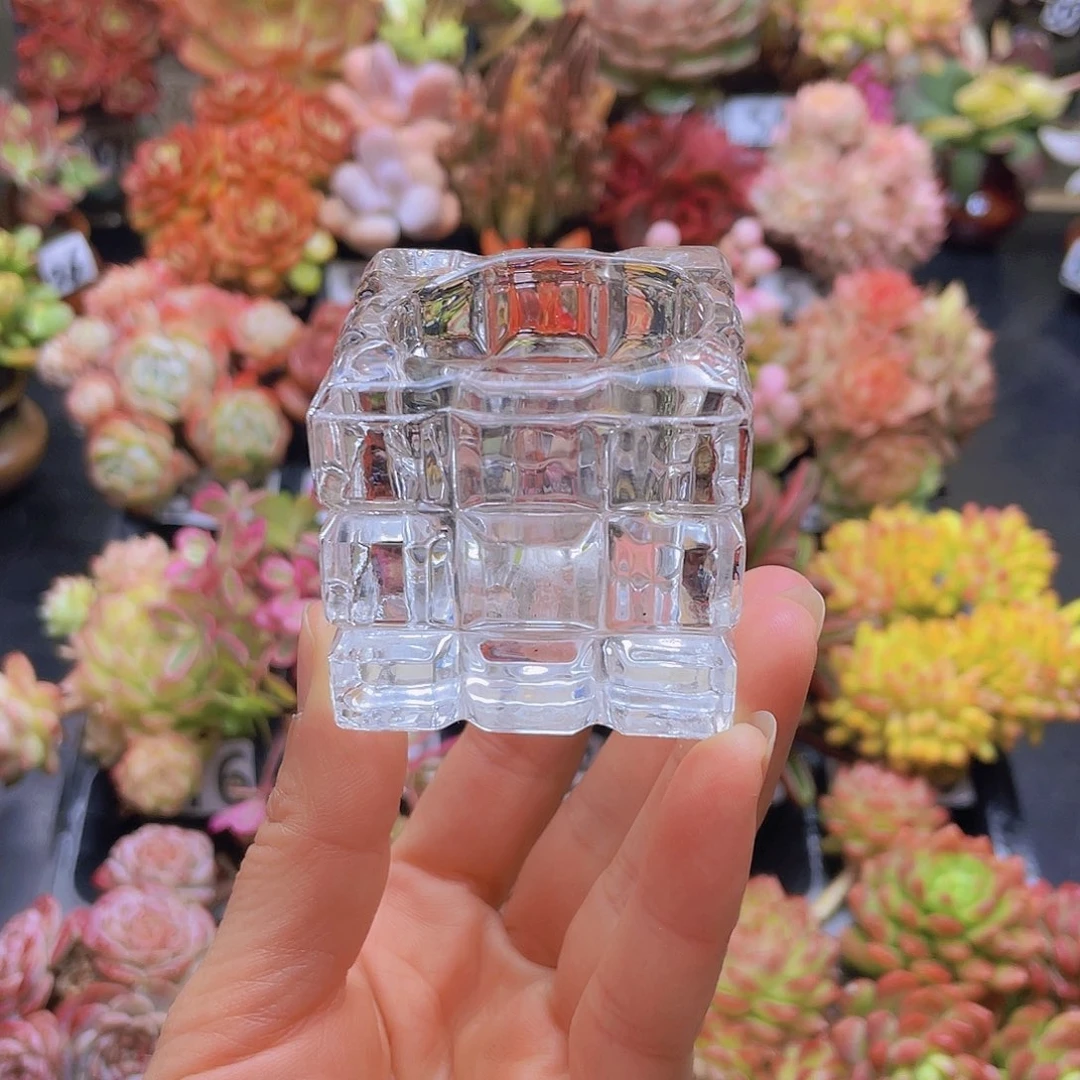 花钱花钱花钱花钱花钱花钱