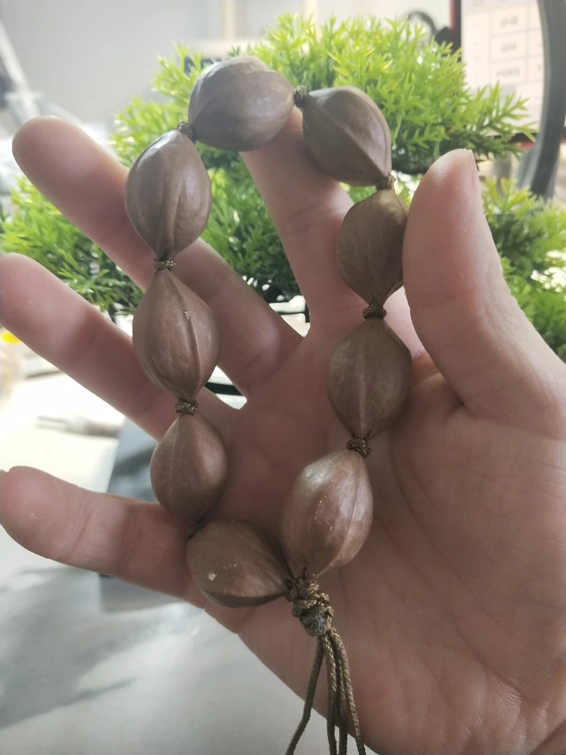 橄榄铁核原皮    尺寸 1.8✘26