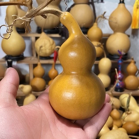 精品厚皮小八宝葫芦