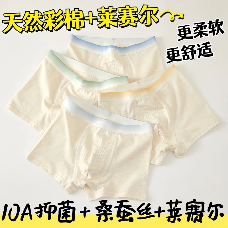 青少年内裤发育期儿童莫代尔天然彩棉莱塞尔12-18大童男孩学生