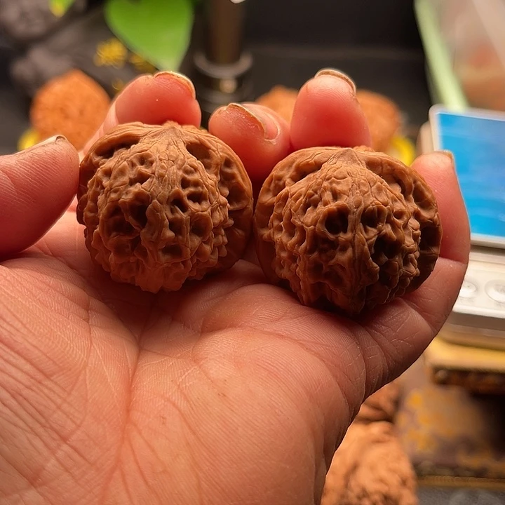 桃核把件全品小龙眼边37肚38