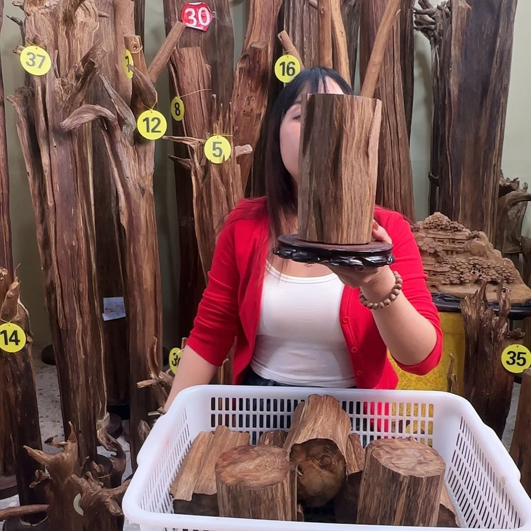 沉香沉香碎屑天然沉香原材料香料熏料