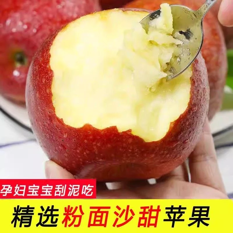 陕西高原红秦冠苹果老人宝宝辅食新鲜水果粉面沙甜老树苹果