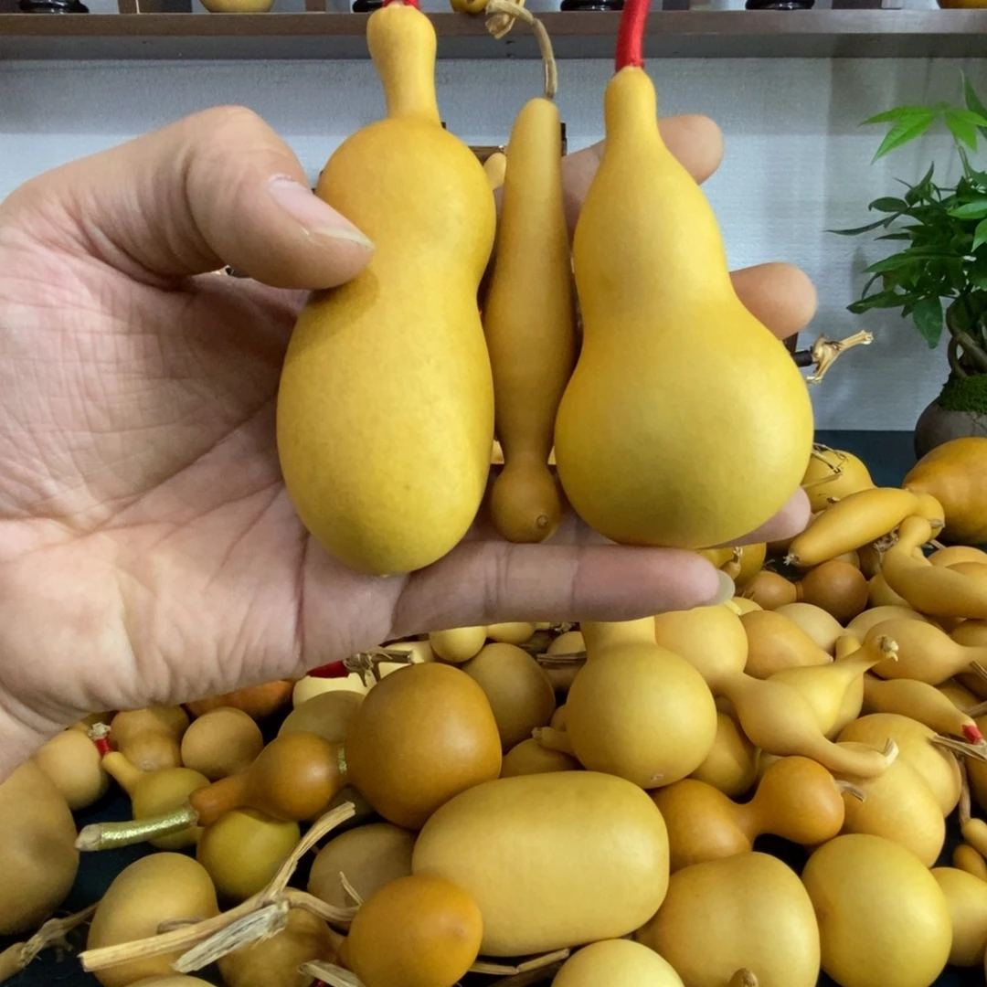 安***明直播间链接，文玩葫芦