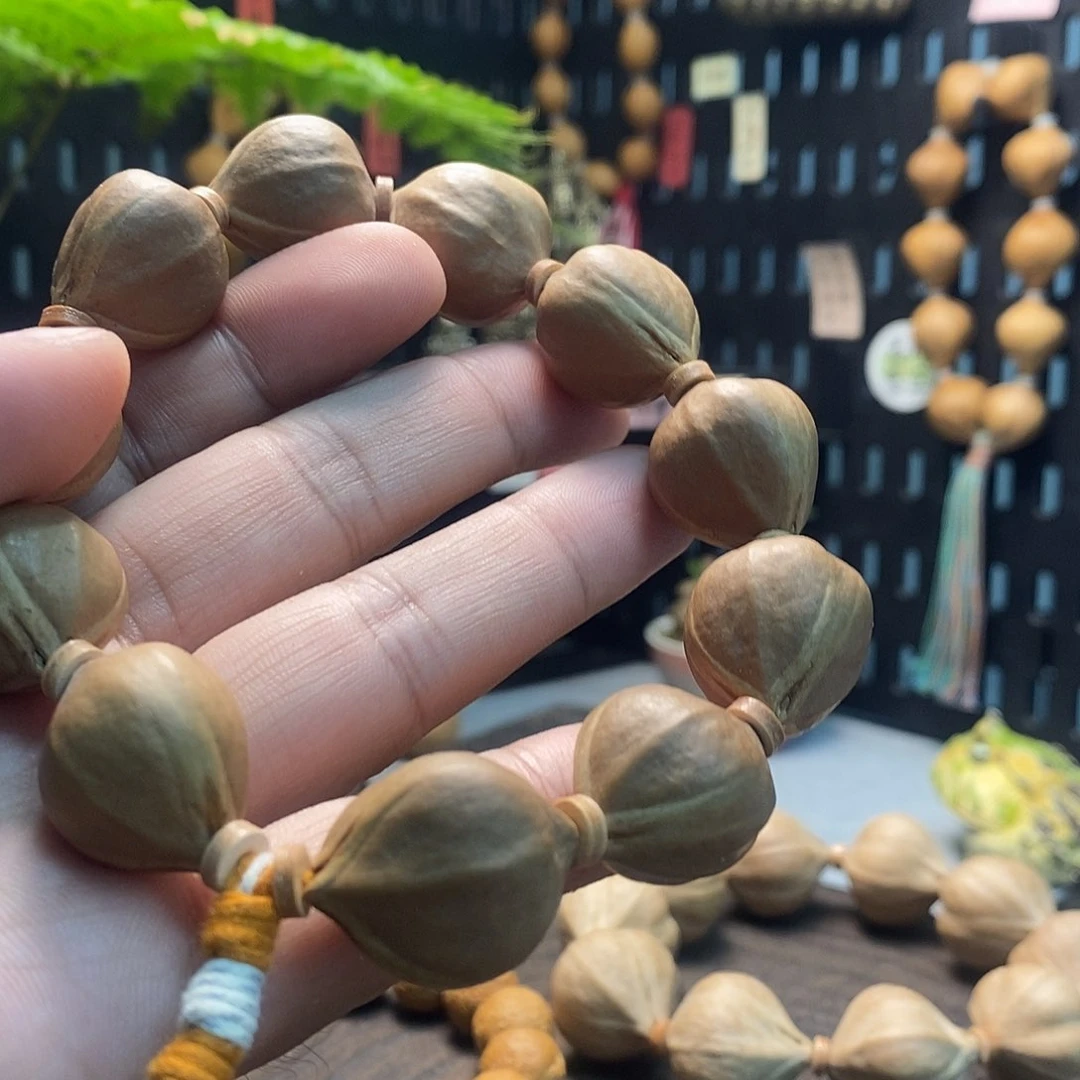 橄榄核手串/手链5699988884111155