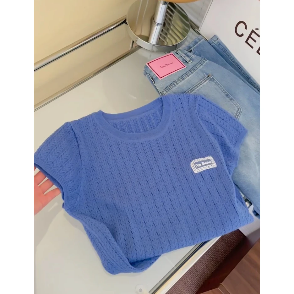 蓝色刺绣短袖针织衫女2025夏季新款韩系小众设计感内搭打底t恤女