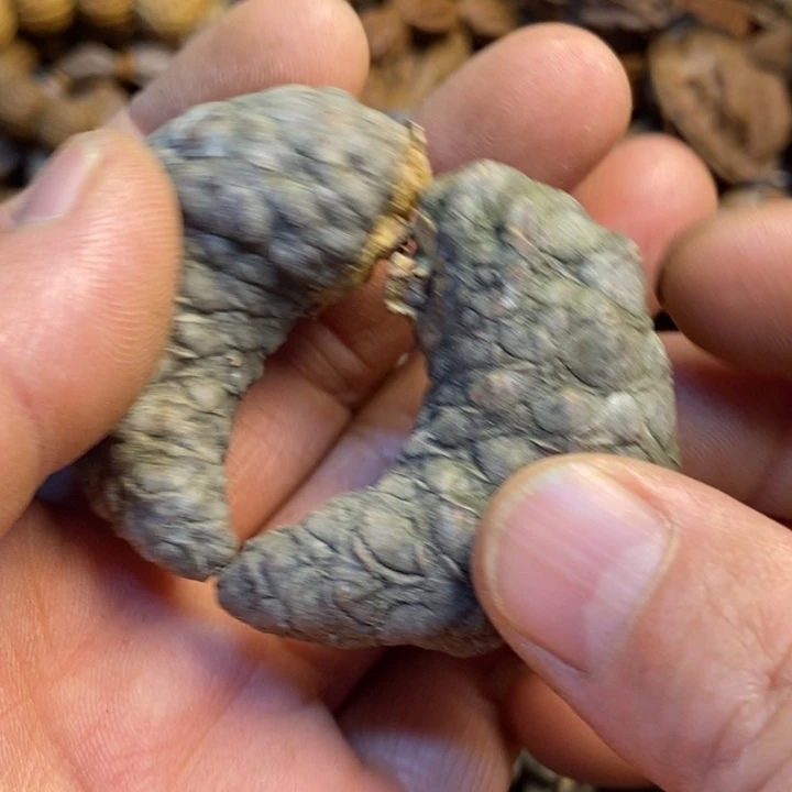 桃核吊坠娜姐真的29