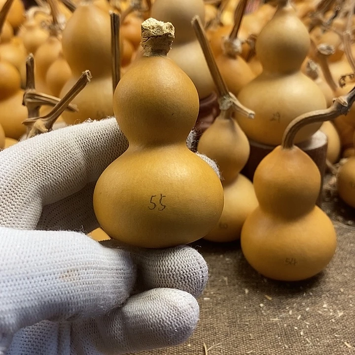 文玩葫芦 完美主义者 慎拍55