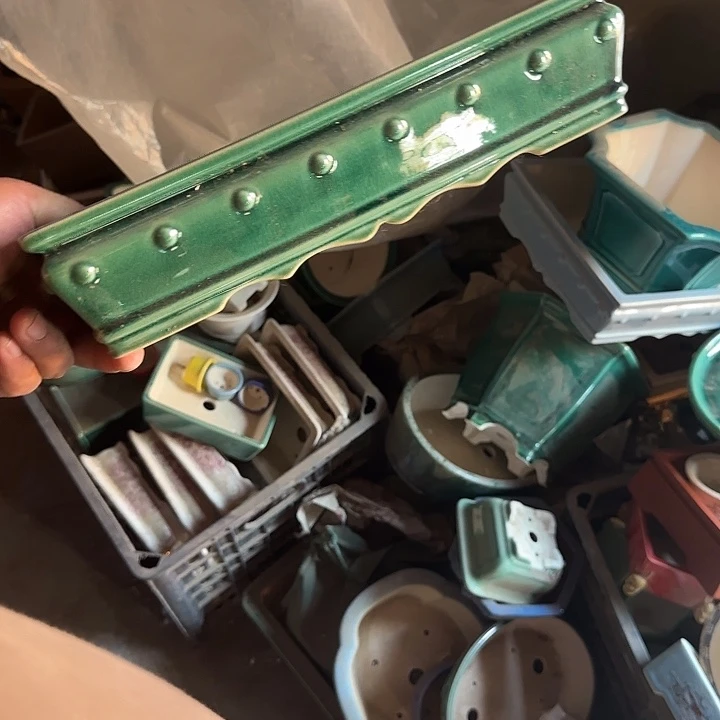 是因为它具有非常丰富且独特