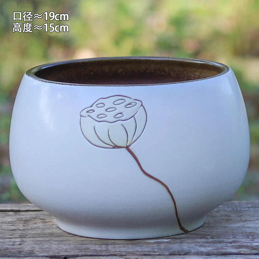 白色手绘莲子大口径陶瓷花盆多肉蝴蝶兰拼盘绿植兰花家用客厅花盆