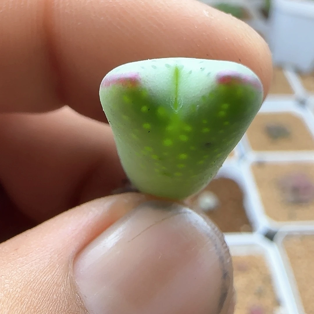 哈哈哈哈哈哈哈哈42581