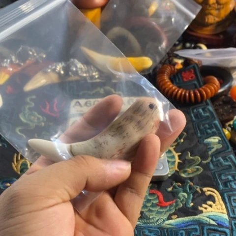 瓷片王**来寻呼台的一个人的生活方式