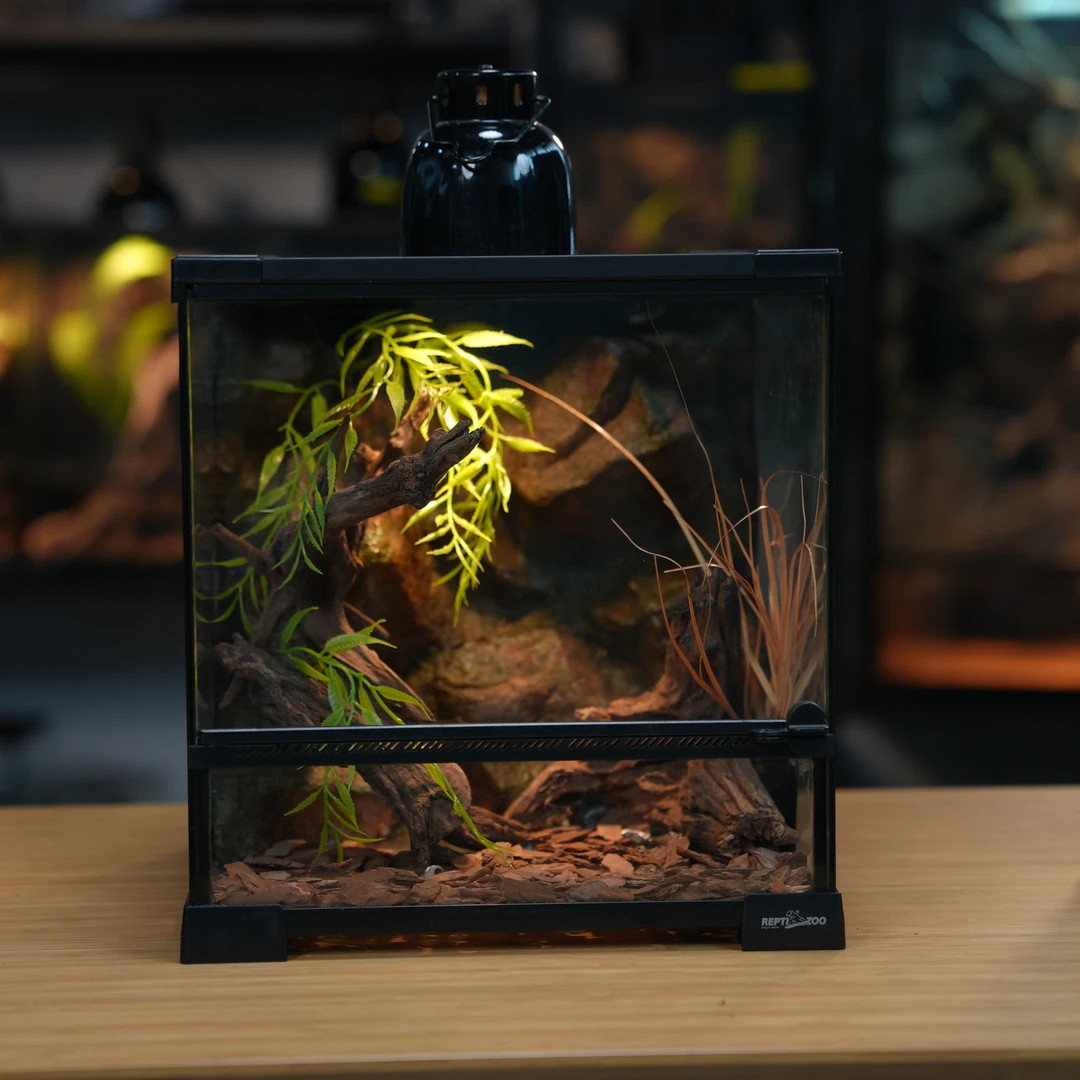 REPTIZOO/瑞皮【造景缸】爬宠饲养箱-孤品