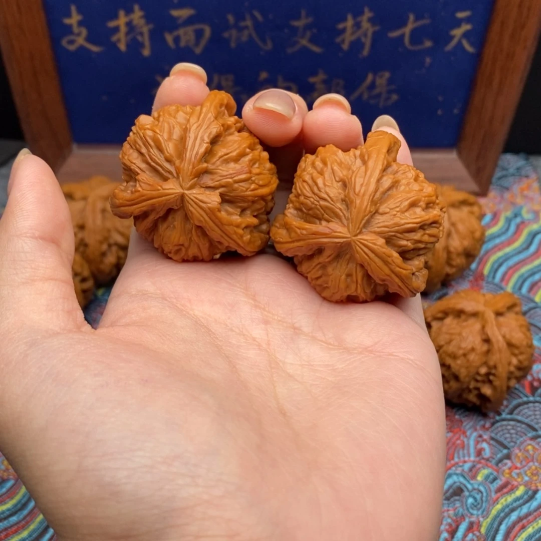 【闪购商品】唯**磊白狮